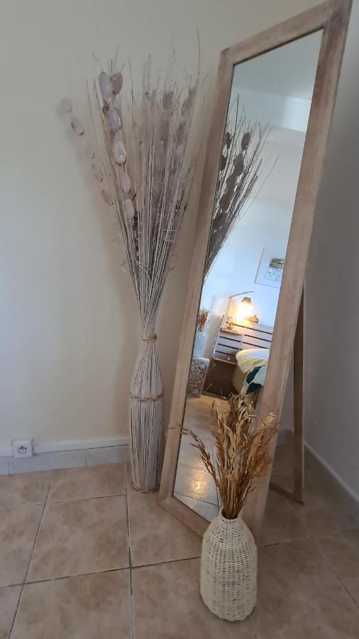 דירות סיינט ג'וזף Le Cocon De Madana מראה חיצוני תמונה