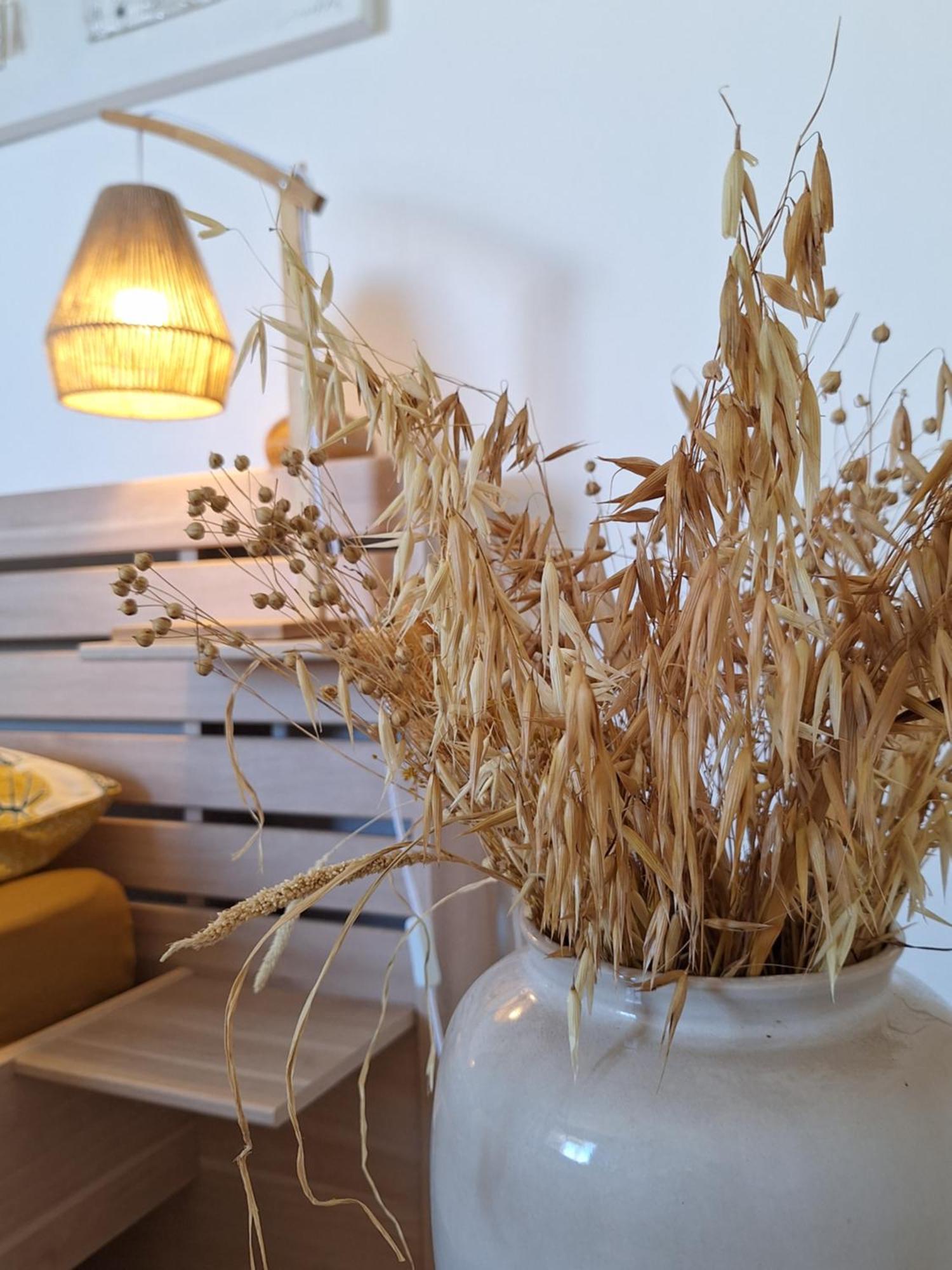 דירות סיינט ג'וזף Le Cocon De Madana מראה חיצוני תמונה